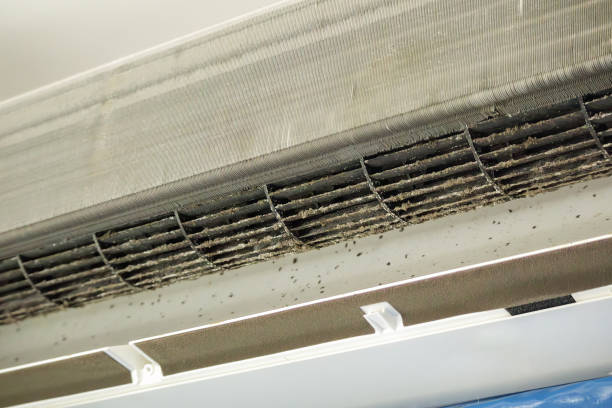 Best HVAC System Cleaning  in Ke Providence, LA